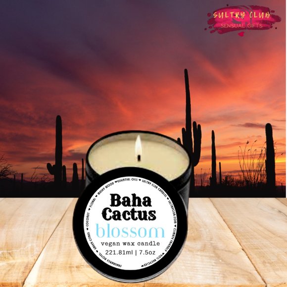 Baha Cactus Blossom 7.5 Ounce Candle - Picture 1 of 6